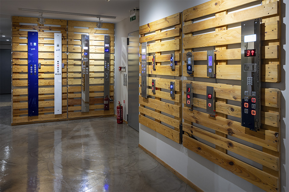 Κομβιοδόχοι